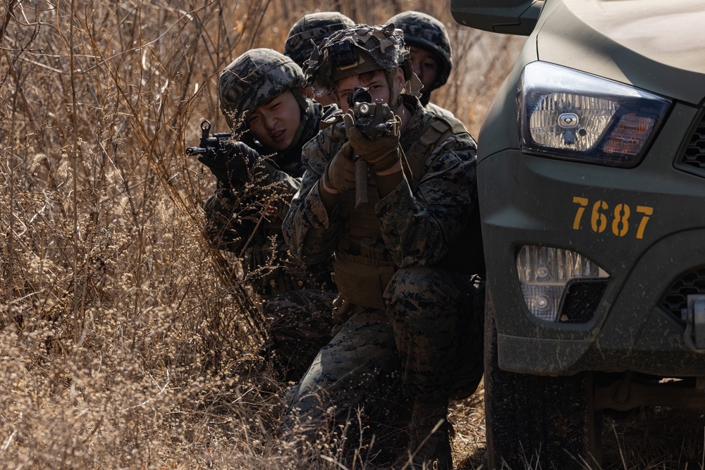 Korea Viper 24.1 | U.S. and Republic of Korea Marines Urban Operations Training