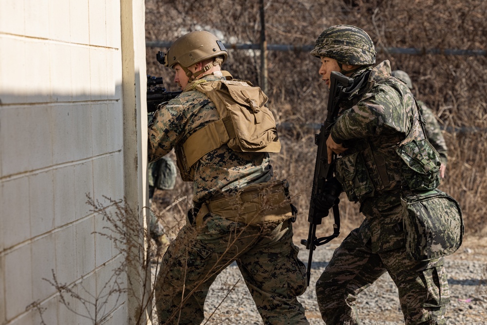 Korea Viper 24.1 | U.S. and Republic of Korea Marines Urban Operations Training