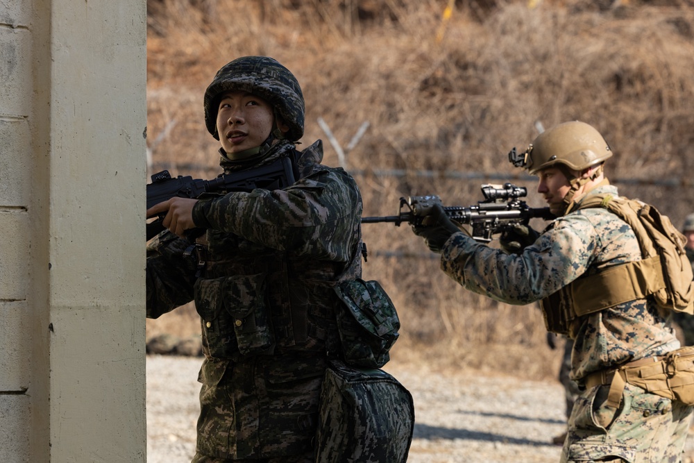 Korea Viper 24.1 | U.S. and Republic of Korea Marines Urban Operations Training