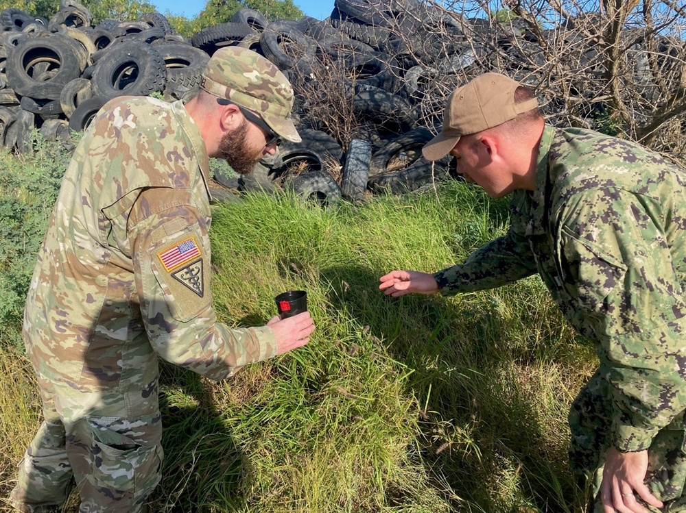 NECE Aids in Hunt for Invasive Mosquito Species Spreading at Naval Station Guantanamo Bay