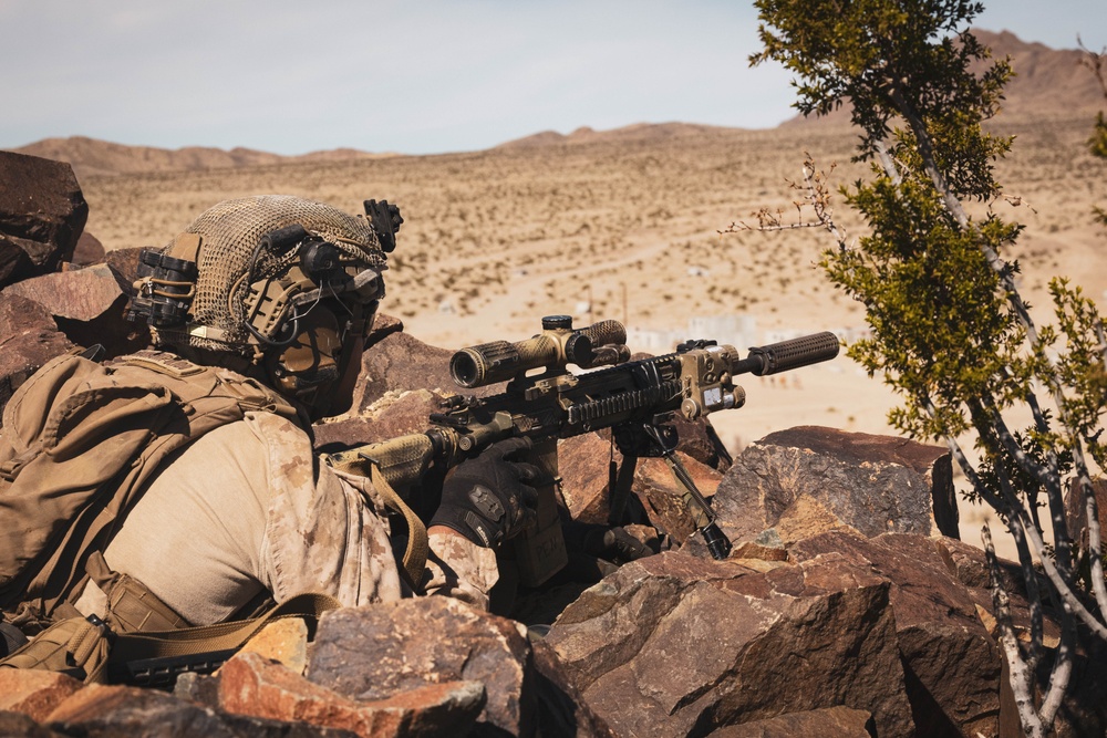 2nd Bn., 4th Marines participates in distributed maneuver exercise