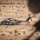 2nd Bn., 4th Marines participates in distributed maneuver exercise 2nd Bn., 4th Marines participates in distributed maneuver exercise