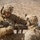 2nd Bn., 4th Marines participates in distributed maneuver exercise 2nd Bn., 4th Marines participates in distributed maneuver exercise