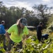 Weed Warriors: Removing Invasive Plants from Community Parks