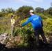 Weed Warriors: Removing Invasive Plants from Community Parks