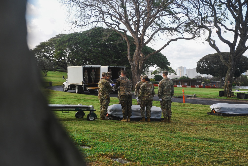 DPAA conducts WWII Disinterment