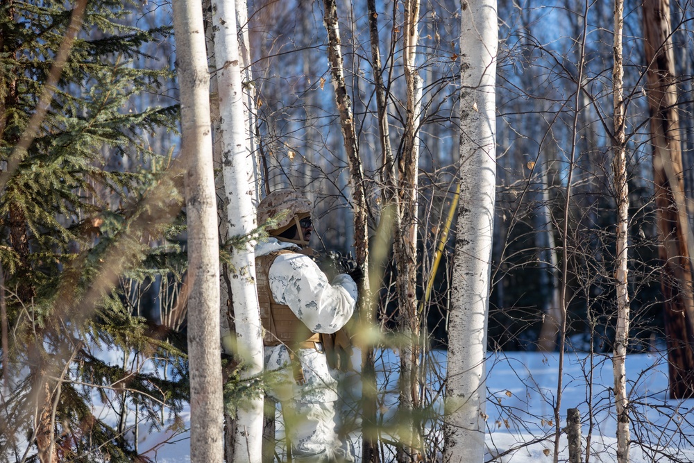 ARCTIC EDGE 2024: Fox 2/14 Marines conduct HIRAIN