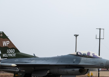 Wolf flies 8th FW heritage tail F-16