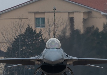 Wolf flies 8th FW heritage tail F-16