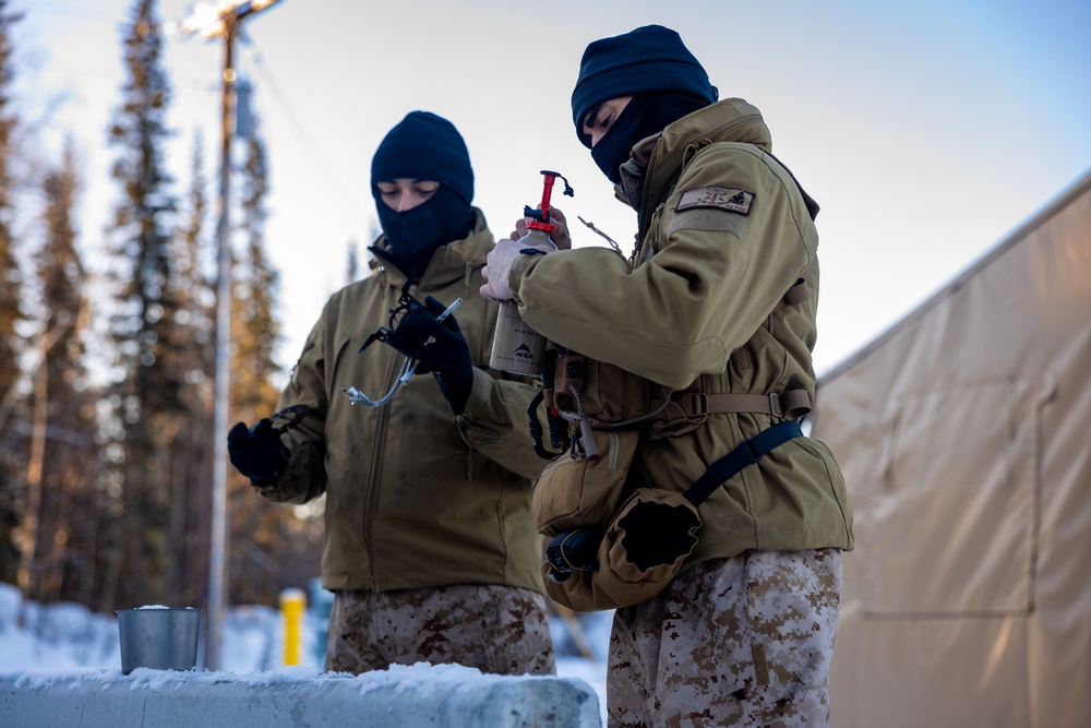 ARCTIC EDGE 2024: Fox 2/14 Marines conduct cold weather training