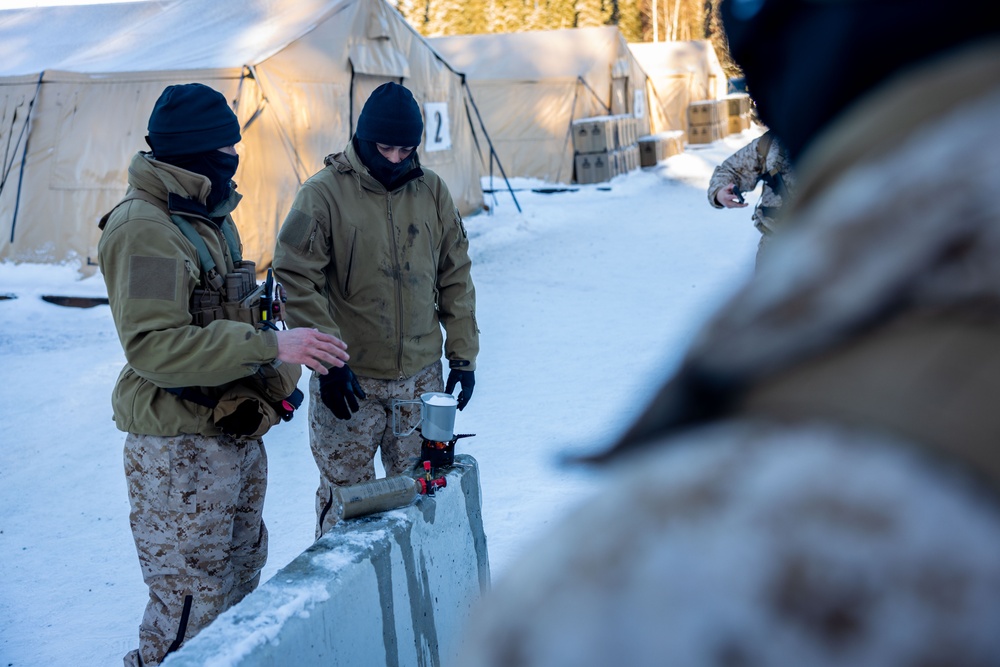 ARCTIC EDGE 2024: Fox 2/14 Marines conduct cold weather training