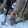 ARCTIC EDGE 2024: Fox 2/14 Marines conduct cold weather training