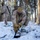 ARCTIC EDGE 2024: Fox 2/14 Marines conduct cold weather training