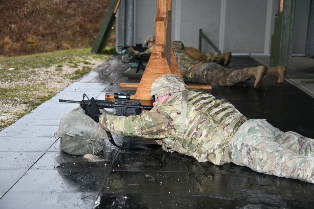 207th Military Intelligence Brigade, Live fire Training  27 February Cao Malnisio