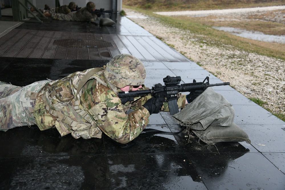 207th Military Intelligence Brigade, Live fire Training  27 February Cao Malnisio