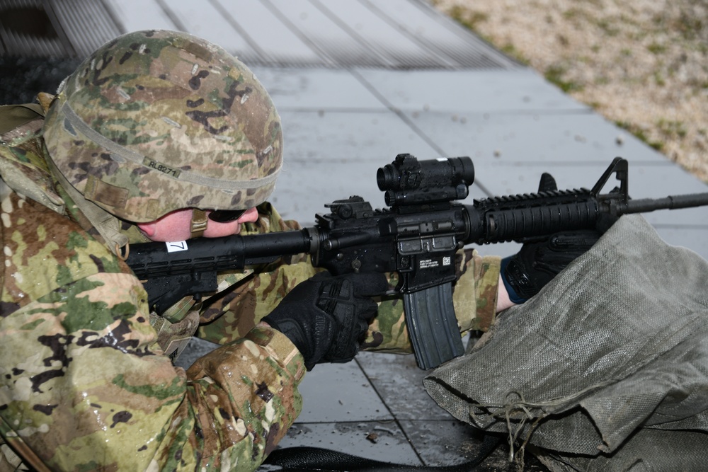 207th Military Intelligence Brigade, Live fire Training 27 February Cao Malnisio