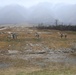 207th Military Intelligence Brigade, Live fire Training 27 February Cao Malnisio