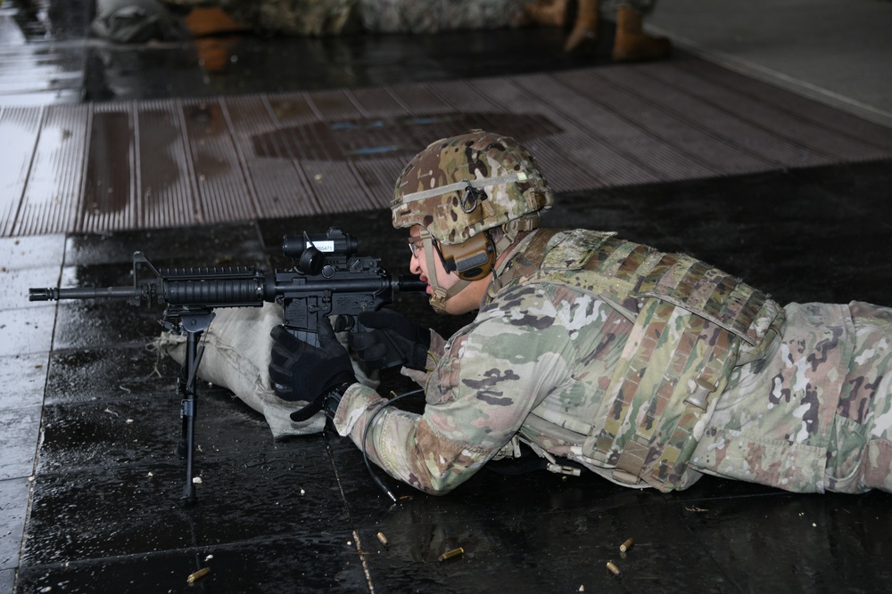 207th Military Intelligence Brigade, Live fire Training 27 February Cao Malnisio