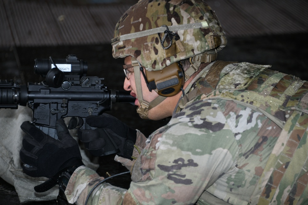207th Military Intelligence Brigade, Live fire Training  27 February Cao Malnisio