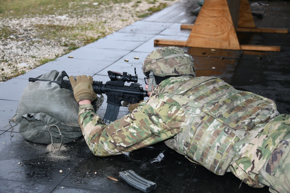 207th Military Intelligence Brigade, Live fire Traing  27 February Cao Malnisio