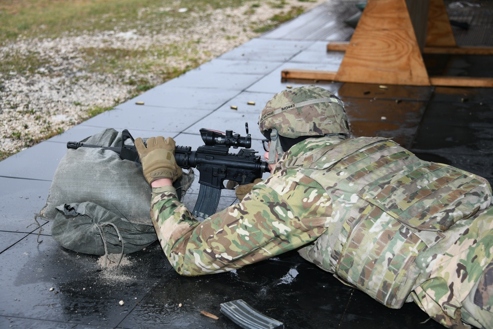 207th Military Intelligence Brigade, Live fire Training  27 February Cao Malnisio