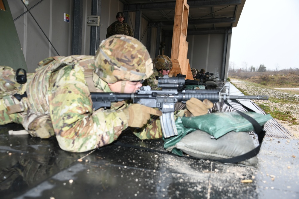 207th Military Intelligence Brigade, Live fire Training  27 February Cao Malnisio