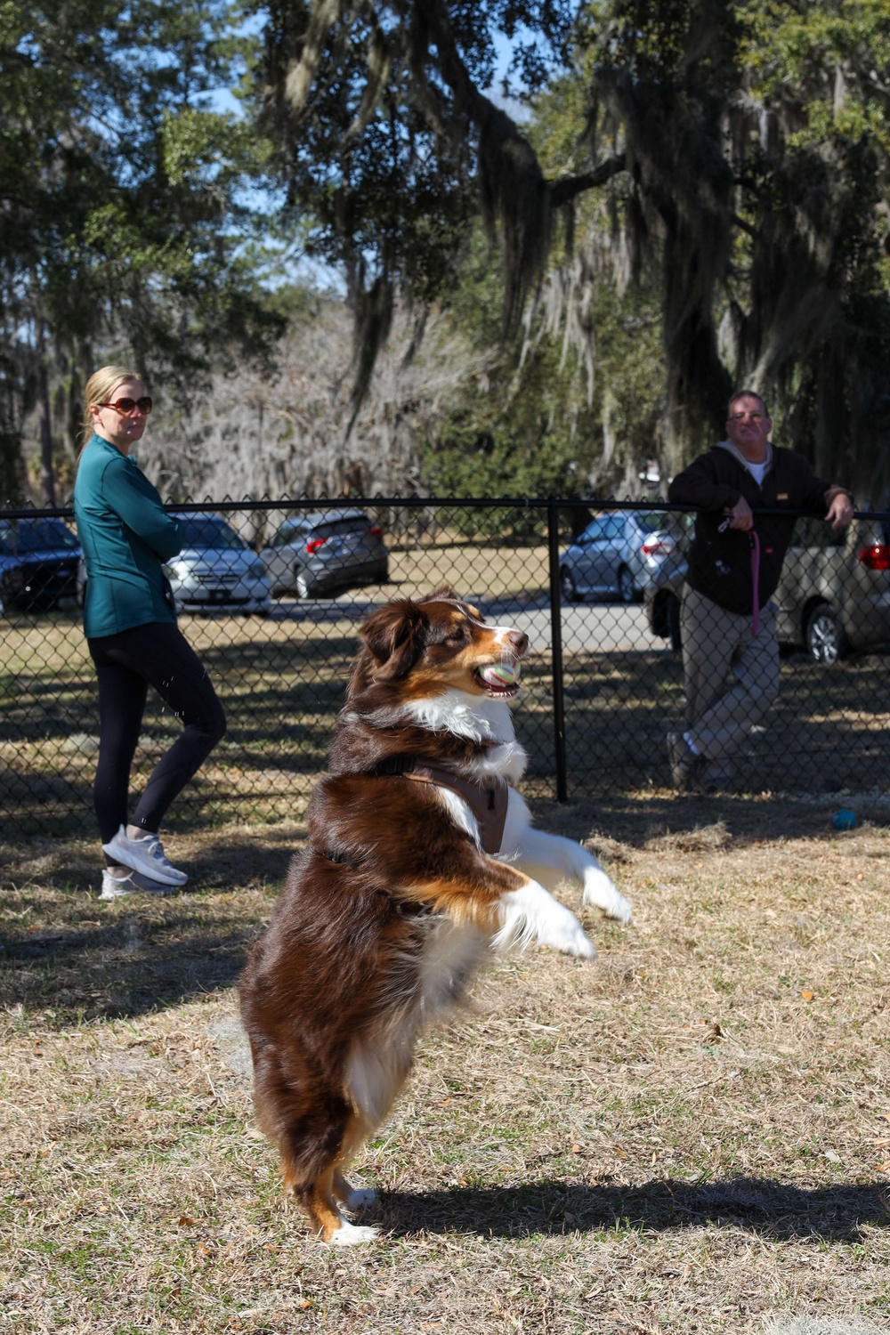 New dog park at Laurel Bay Military Housing