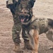 US Army Airborne EOD techs train with Military Working Dog teams on Fort Liberty