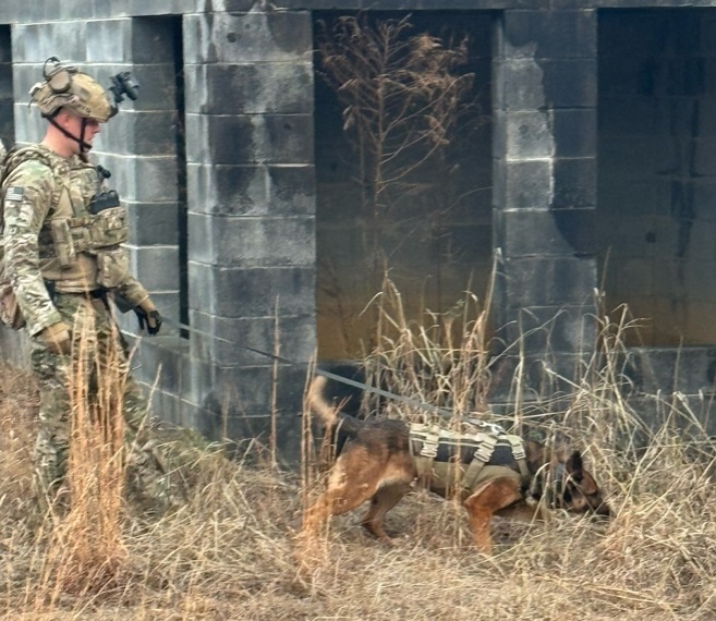 US Army Airborne EOD techs train with Military Working Dog teams on Fort Liberty