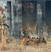 US Army Airborne EOD techs train with Military Working Dog teams on Fort Liberty