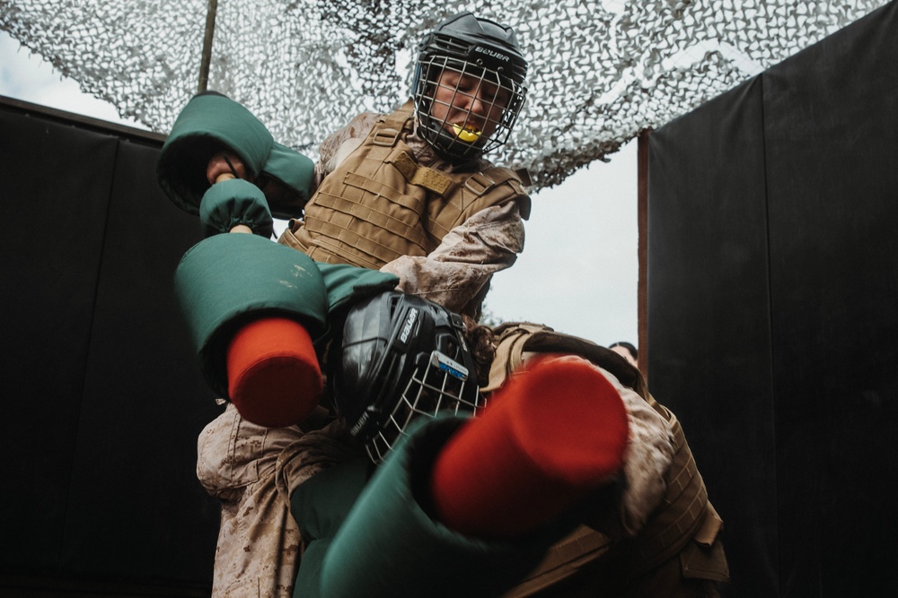 Mike Company Bayonet Assault Course and Pugil Sticks