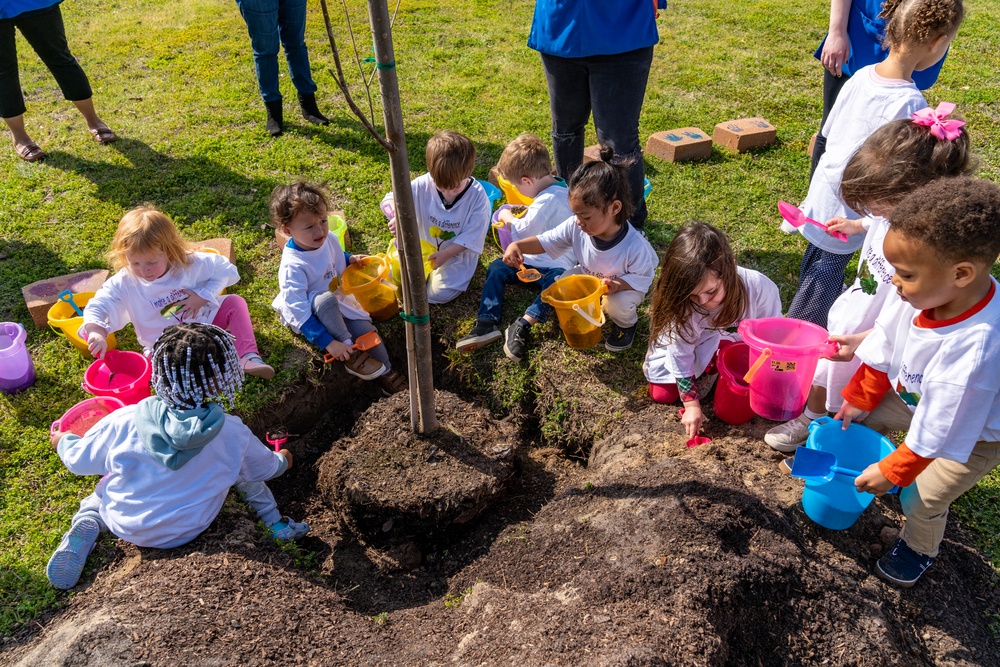 Arbor Day Foundation