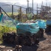 USACE conducts steel and concrete debris removal