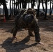 Korea Viper 24.1 | U.S. and Republic of Korea Marines Combat Fitness Test