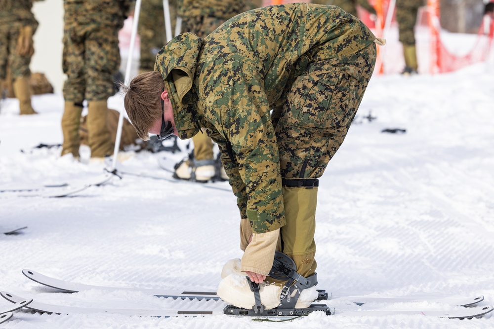 Korea Viper 24.1 | U.S. and Republic of Korea Marine Practice Downhill Skiing Techniques 