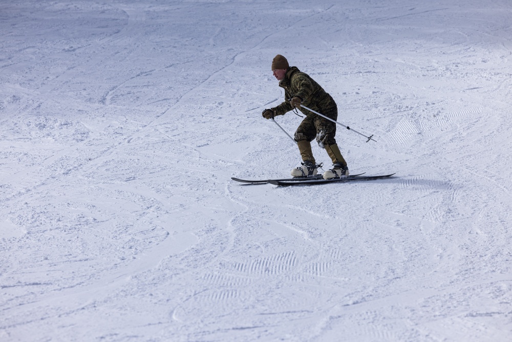 Korea Viper 24.1 | U.S. and Republic of Korea Marine Practice Downhill Skiing Techniques 