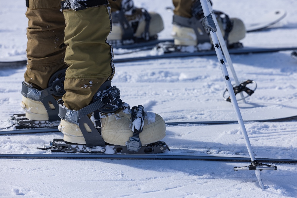 Korea Viper 24.1 |  U.S. and Republic of Korea Marine Practice Downhill Skiing Techniques 