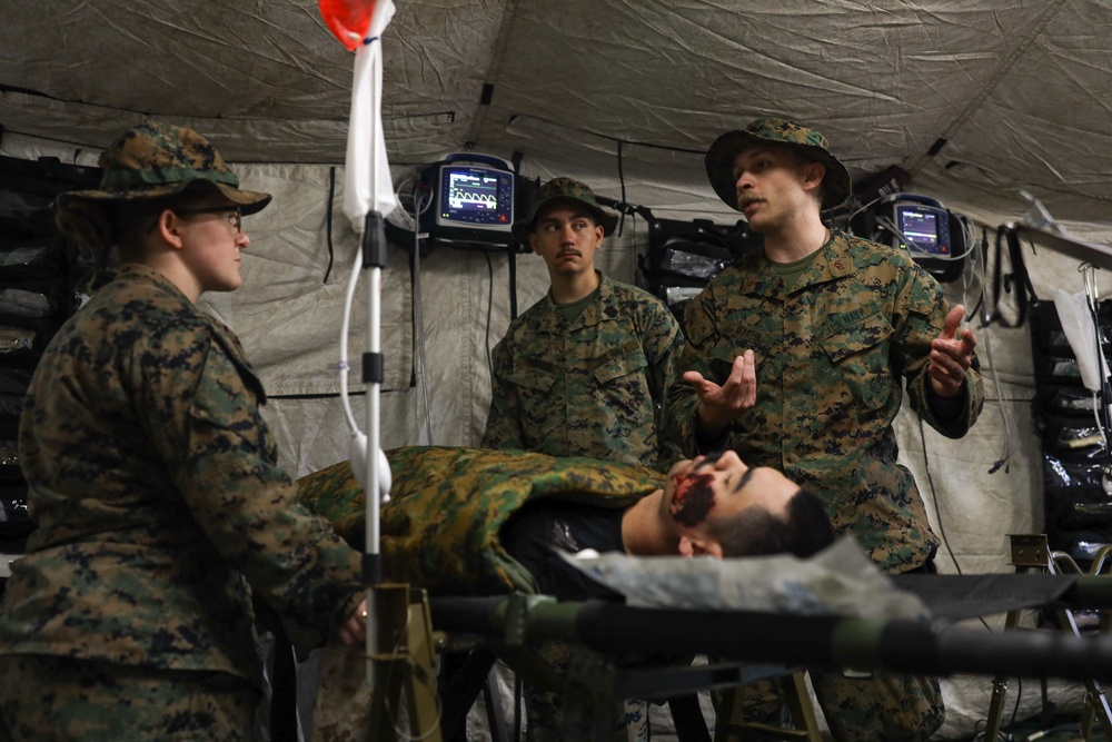 2nd Medical Battalion Participates in a CERTEX