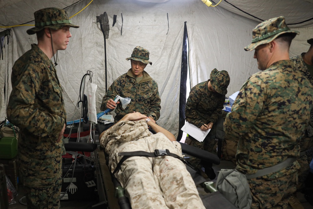 2nd Medical Battalion Participates in a CERTEX