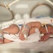 Walter Reed Welcomes Leap Year Babies of 2024