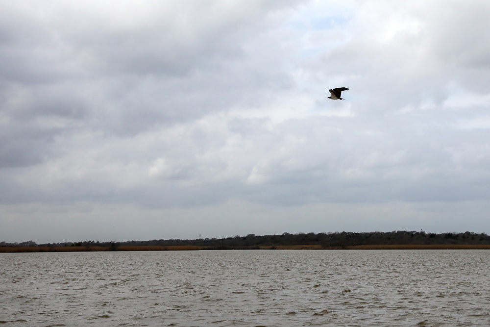 Texas Calls on Volunteers for Coastal Cleanup: Over 42,500 Crab Traps