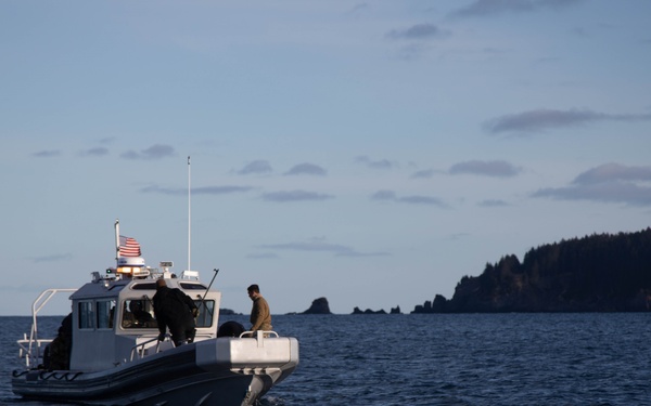 Navy SEALs Parachute into Arctic Waters