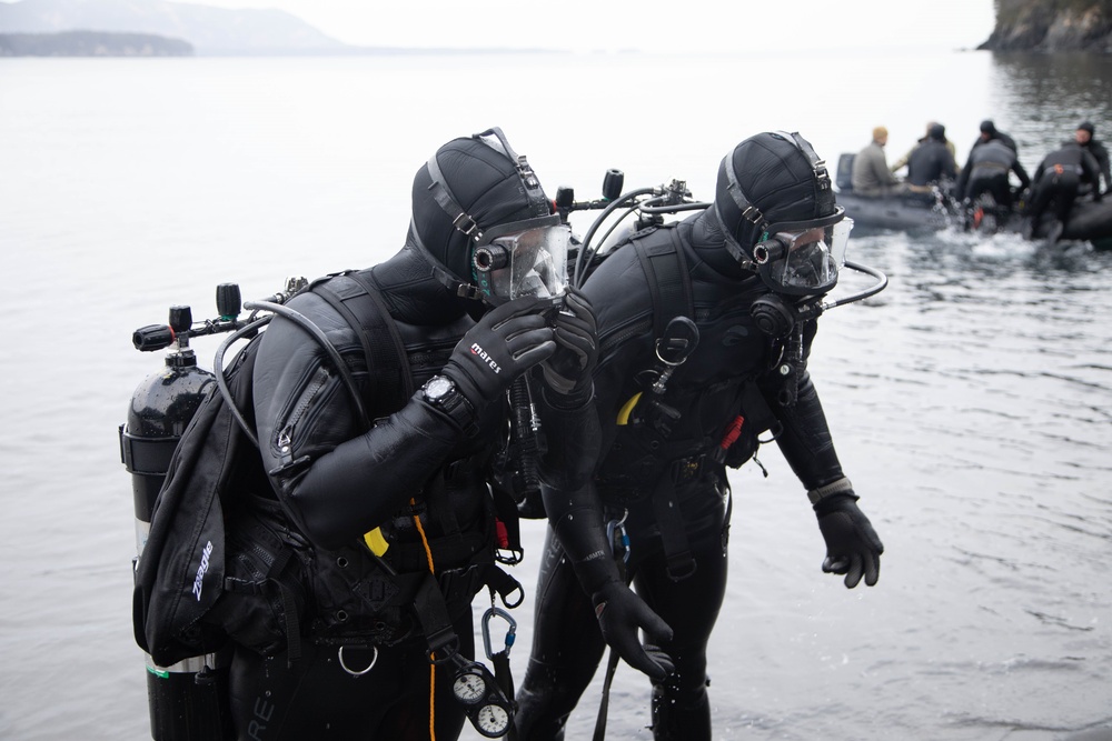 Dvids Images Navy Seals Green Berets Norwegian Commandos Dive In