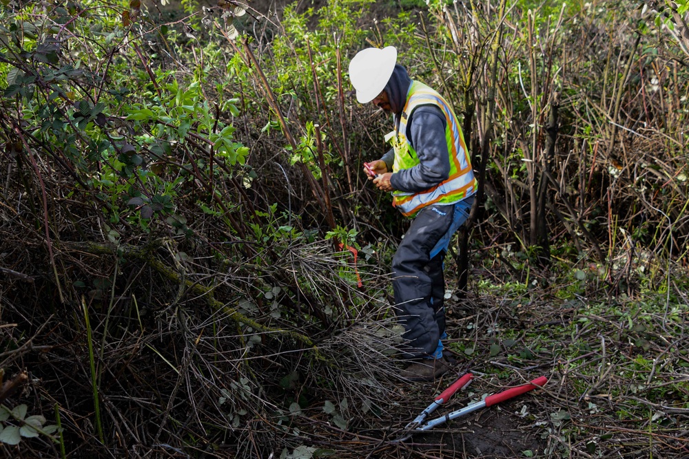 Lower San Joaquin River Elderberry Relocation February 2024