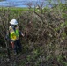 Lower San Joaquin River Elderberry Relocation February 2024