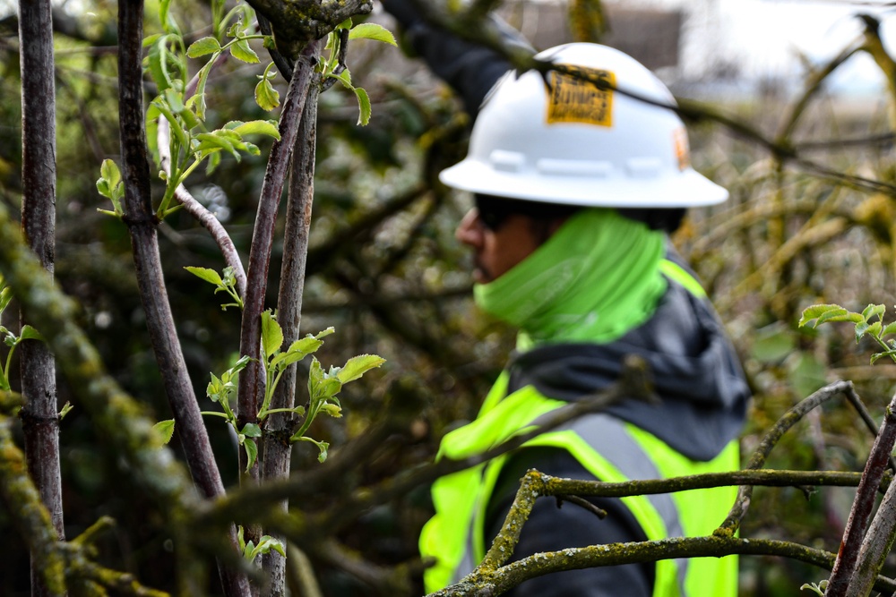 Lower San Joaquin River Elderberry Relocation February 2024