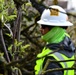 Lower San Joaquin River Elderberry Relocation February 2024