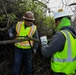 Lower San Joaquin River Elderberry Relocation February 2024