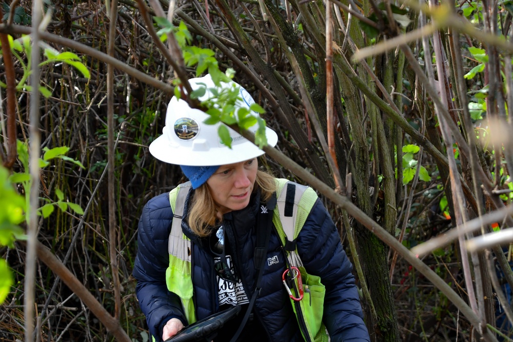 Lower San Joaquin River Elderberry Relocation February 2024