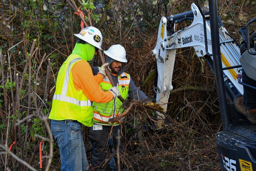 Lower San Joaquin River Elderberry Relocation February 2024